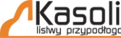 Kasolik
